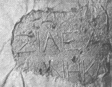 Royal_inscription_Palmyra.jpg