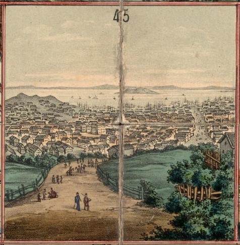 4781002.jpg 4781002.jpg