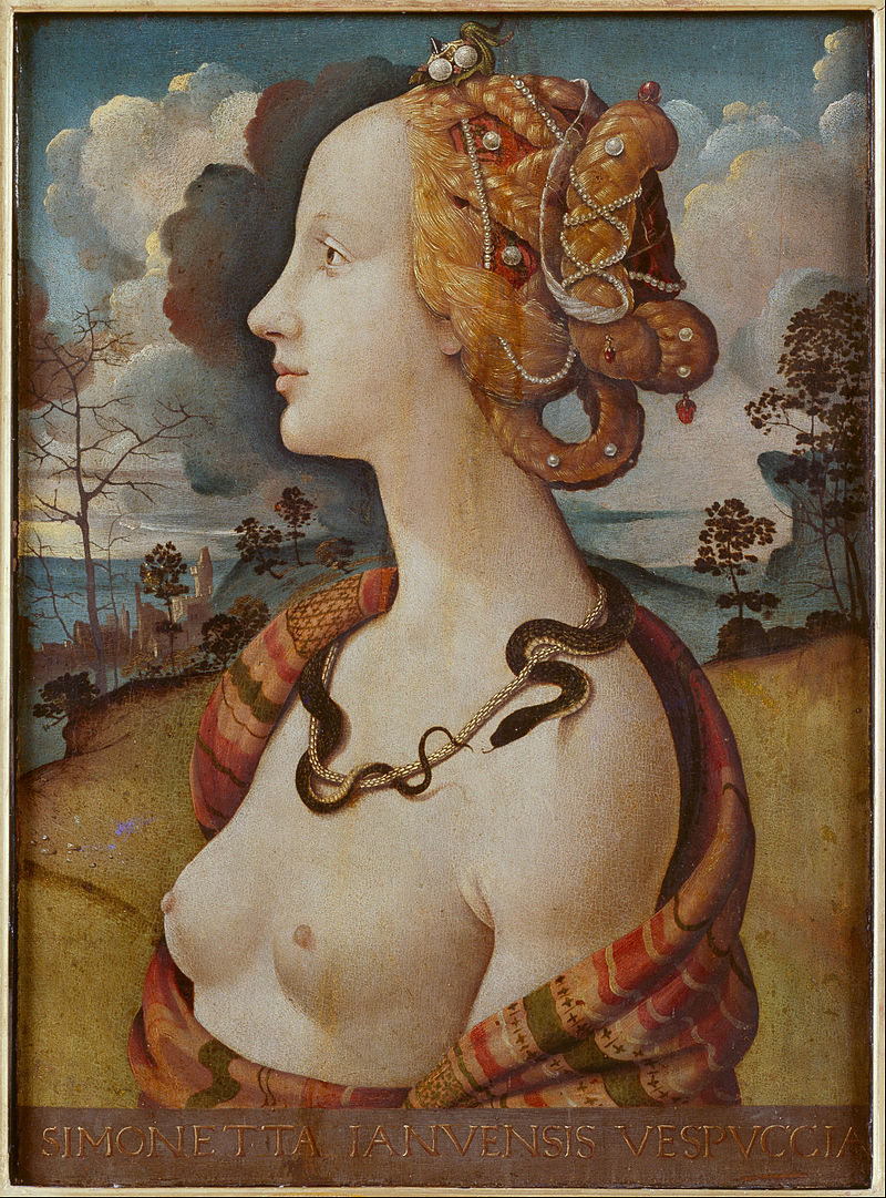 800px-Piero_di_Cosimo_-_Portrait_de_femme_dit_de_Simonetta_Vespucci_-_Google_Art_Project[1].jpg
