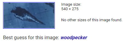 woodpecker.png