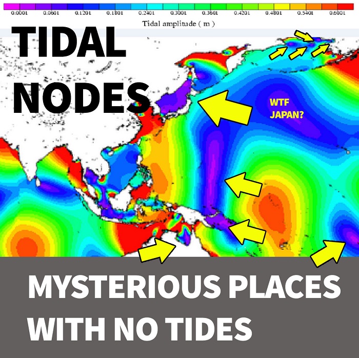 tidal-meme-1.jpg