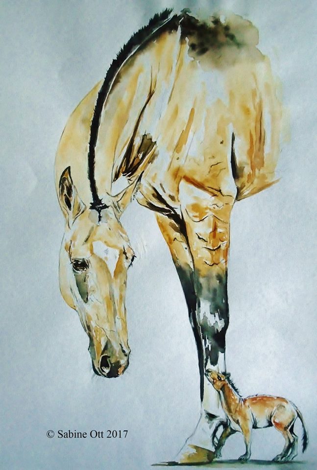 equus.jpg equus.jpg