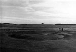P51423.jpg