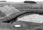 P51664.jpg