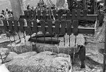 P51851.jpg