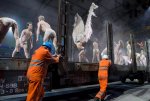 Gotthard Tunnel opening ceremony_19.jpg Gotthard Tunnel opening ceremony_19.jpg
