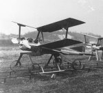 Kettering-bug-2.jpg