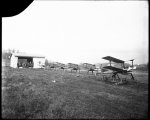 Kettering-bug-3.jpg
