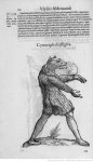 Illustrations de Ulyssis Aldovandi Monstrorum_8.JPEG