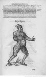 Illustrations de Ulyssis Aldovandi Monstrorum_9.JPEG