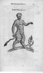 Illustrations de Ulyssis Aldovandi Monstrorum_10.JPEG