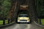 redwood_ca_4.jpg redwood_ca_4.jpg