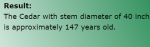 tree_age_3.png tree_age_3.png