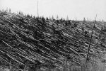 tunguska_meteor_1.jpg tunguska_meteor_1.jpg