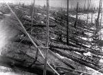 tunguska_meteor_2.jpg tunguska_meteor_2.jpg