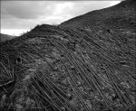 tunguska_meteor_3.jpg tunguska_meteor_3.jpg