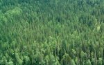 new_siberia_4.jpg new_siberia_4.jpg