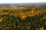 new_siberia_10.jpg new_siberia_10.jpg