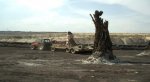 stump_prehistoric_3.jpg stump_prehistoric_3.jpg
