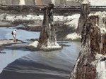 stump_prehistoric_4.jpg stump_prehistoric_4.jpg