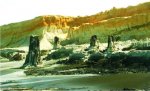 stump_prehistoric_5.jpg stump_prehistoric_5.jpg