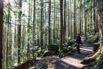 snoqualmie-washington_1.jpg snoqualmie-washington_1.jpg