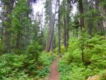 snoqualmie-washington_3.jpg snoqualmie-washington_3.jpg