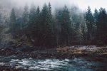 snoqualmie-washington_4.jpg snoqualmie-washington_4.jpg