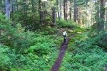 snoqualmie-washington_6.JPG snoqualmie-washington_6.JPG