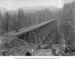 old_washington_trees_3.jpg old_washington_trees_3.jpg