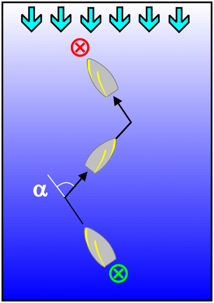 800px-Kreuzen_Segeln_TK.png 800px-Kreuzen_Segeln_TK.png
