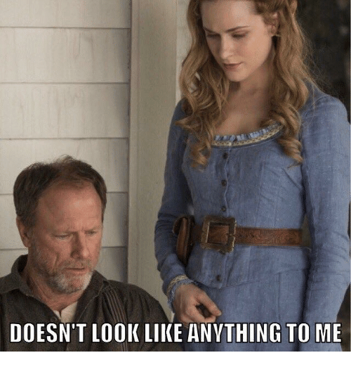 IMG_7203.PNG
