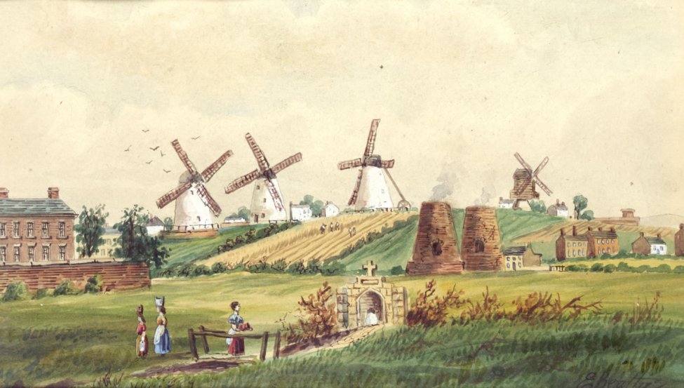 FALL WELL LIMEKILN LANE 1771 FILE 3796 MGA004233.jpg