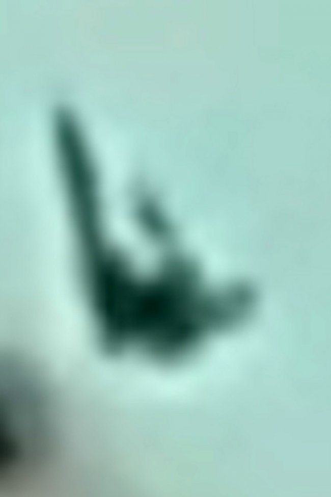 what is it 2b.jpg