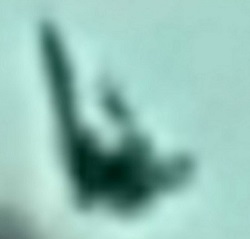 what is it 2b.jpg