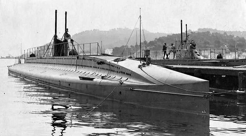 delfin.jpg delfin.jpg