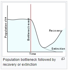 bottleneck.jpg bottleneck.jpg