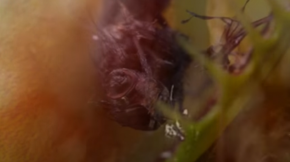 mv2.png mv2.png