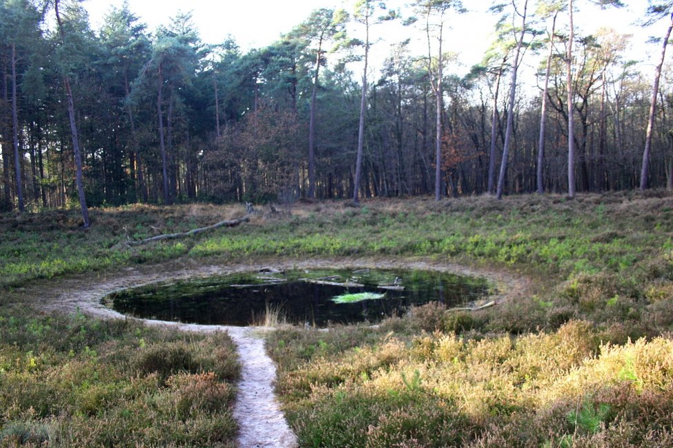 1280px-1-Steenwijk_-_De_Eese_-_Pingo-001.JPG