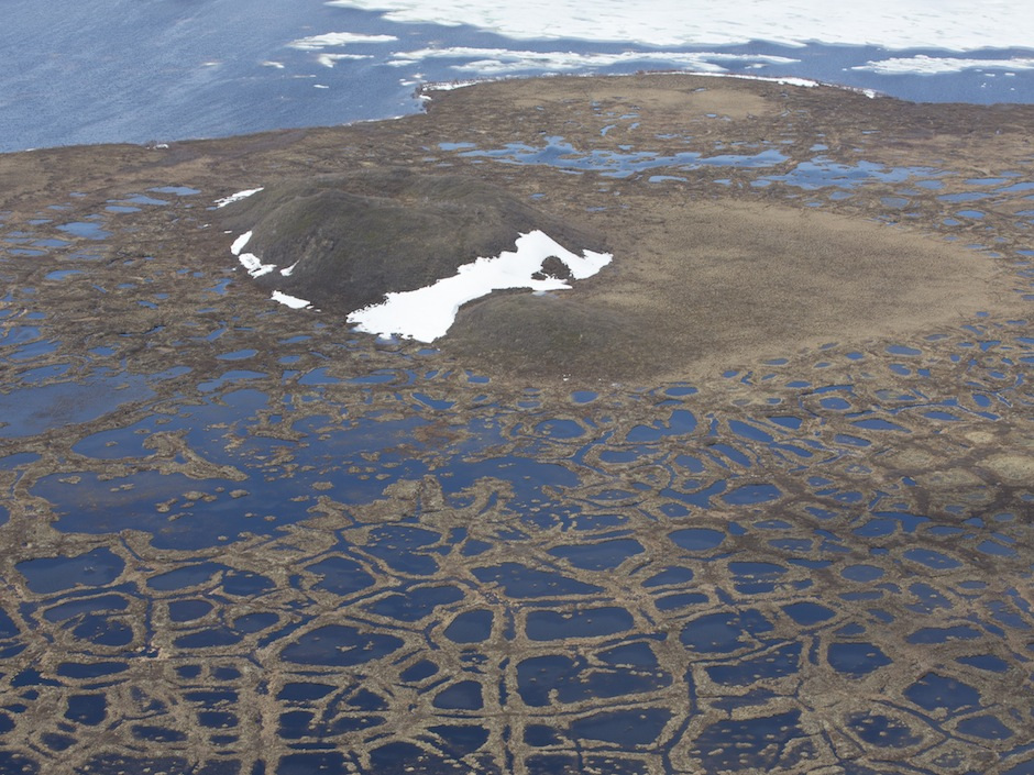 arctic6.jpg