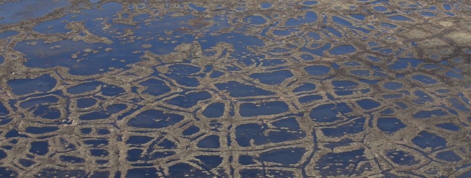 arctic6.jpg
