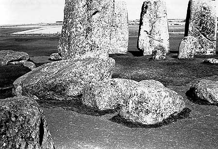 P51564.jpg
