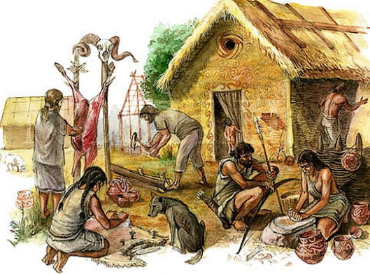 house illustration.jpg