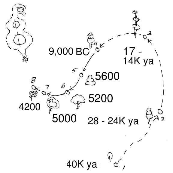 the evolution of venus figurines.jpg