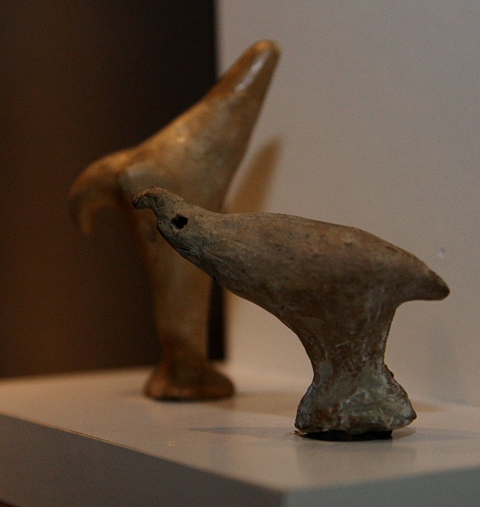 For the Birds.jpg