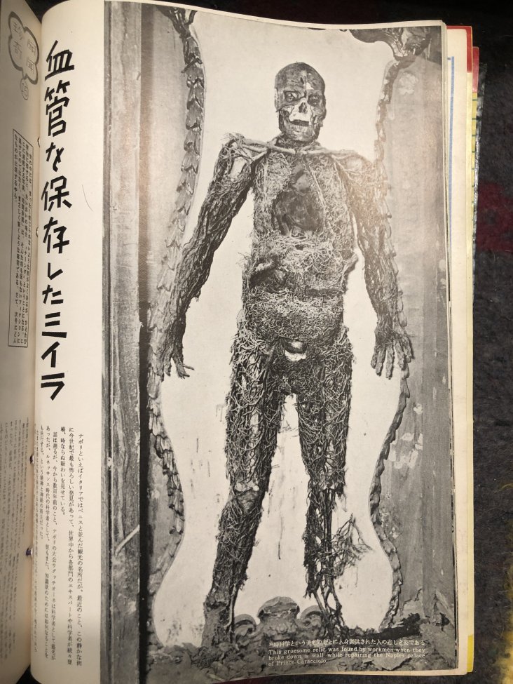 icp_body1.JPG