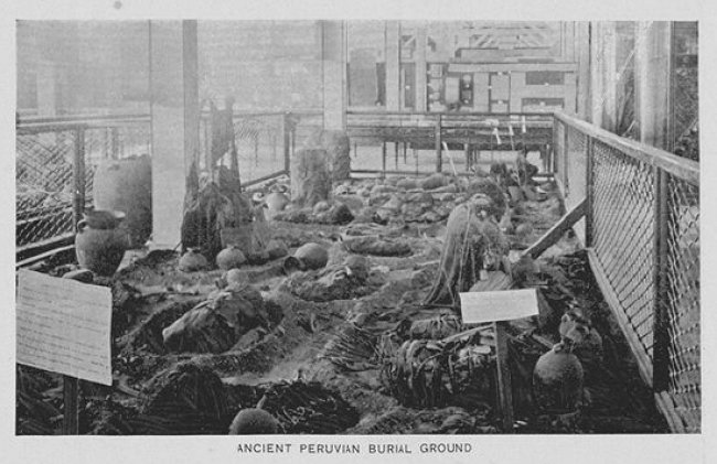 Fig.-1_Bancroft_Book-of-the-Fair_Ancient-Peruvian-Burial-Ground_633.png Fig.-1_Bancroft_Book-of-the-Fair_Ancient-Peruvian-Burial-Ground_633.png