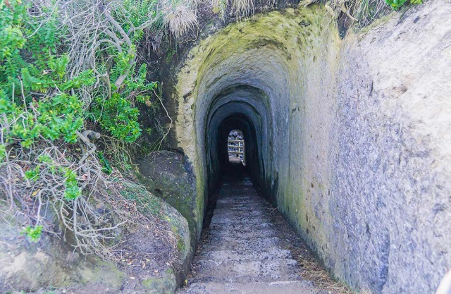 tunnel-beach.jpg