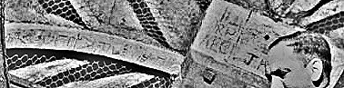 globe graffiti.jpg globe graffiti.jpg