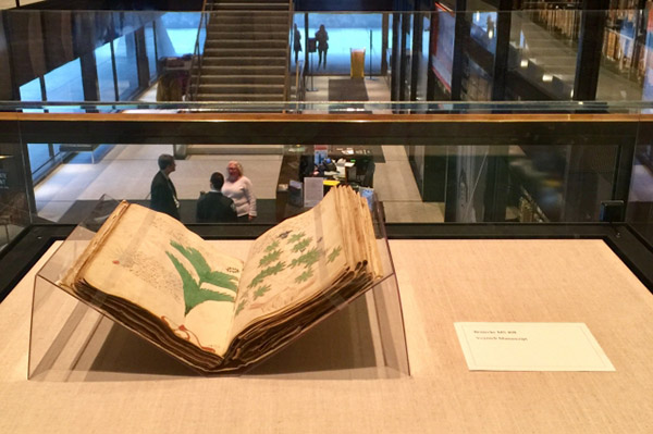 voynich-Voynich manuscript on display in Beinecke Library.jpg